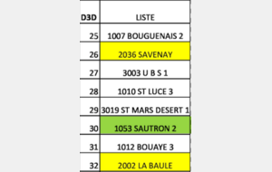 SAVENAY : Championnat des Clubs Vétérans D 3