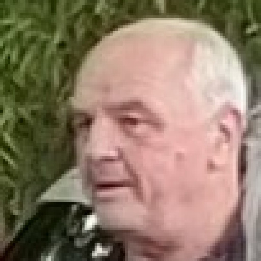 Didier Ricaud